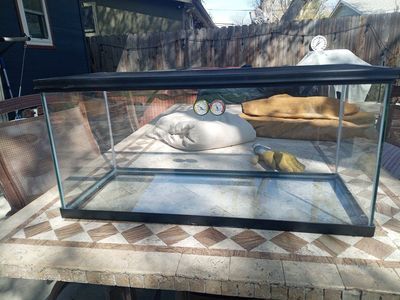 50 gallon reptile tank