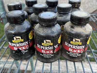 Hoof polish FREE