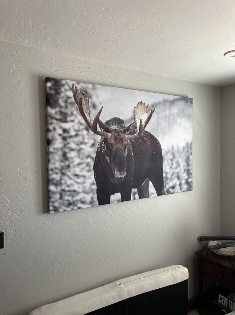 Winter Animal Wall Prints