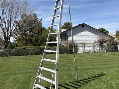 14’ aluminum orchard ladder