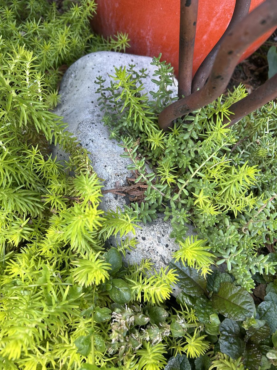 Main image 4