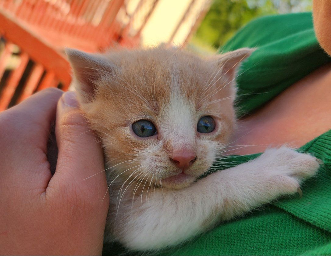 Main image 2