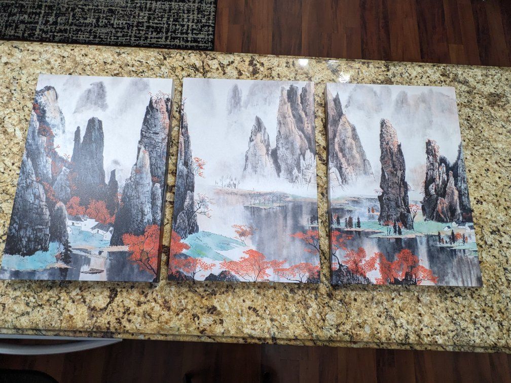 3 piece canvas wall art 16"x24"x3x panels