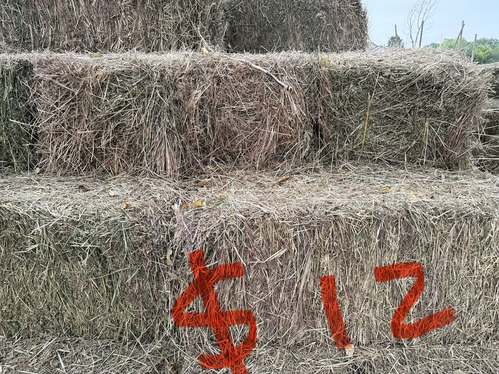 Hay with some grass and June grass mix