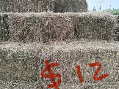 Hay with some grass and June grass mix