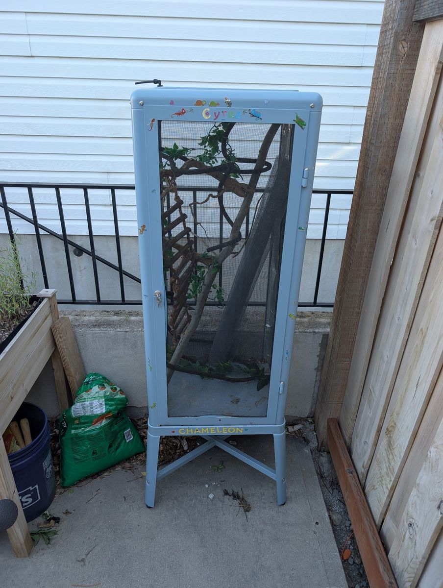Chameleon enclosure