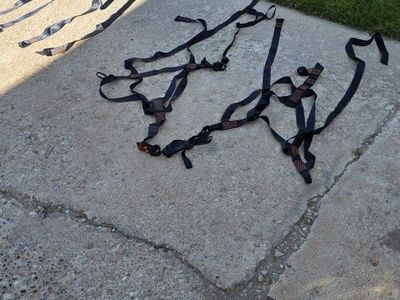 climbing harness