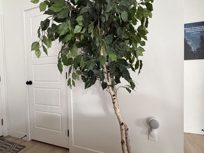 Faux Tree