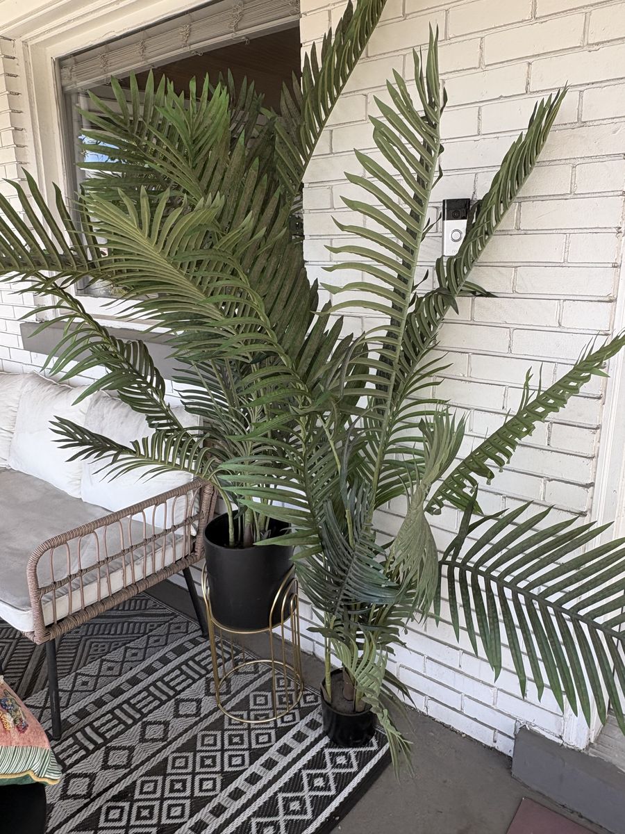 2 Tall Faux Palm Plants with Black Planter + Gold Stand