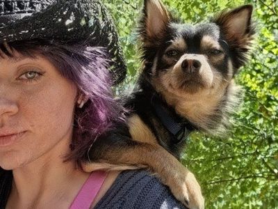 Lost dog