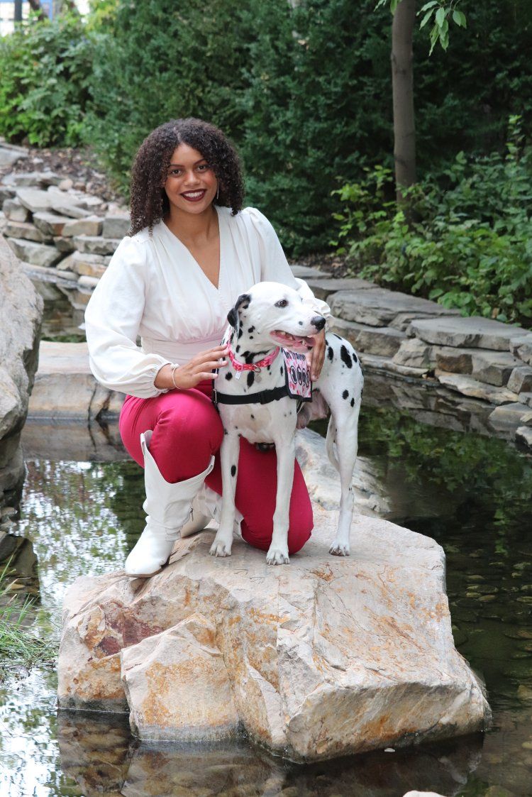 Dalmatian (Service Dog)