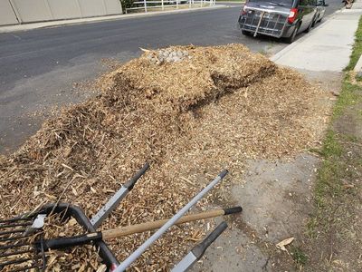 free wood chips