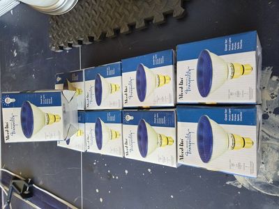 Blue lights lighting