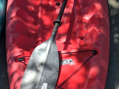 Kayak