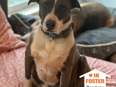 Hello my name is Tyler