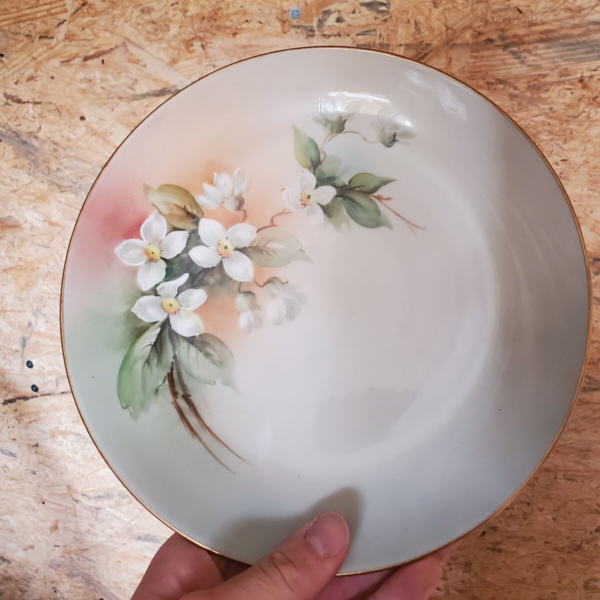 vintage hand painted plate