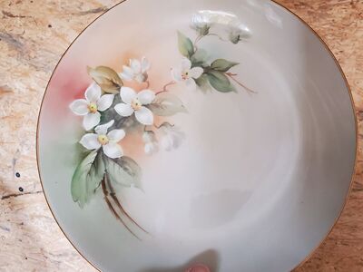 vintage hand painted plate