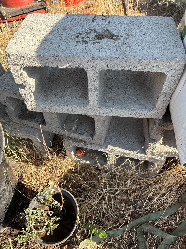Bricks