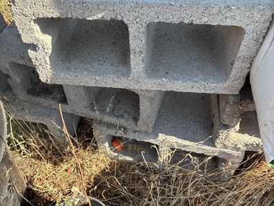 Bricks