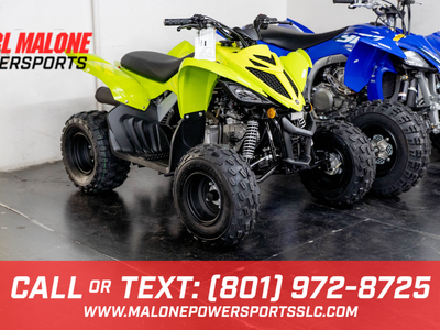 2026 YAMAHA Raptor 110 - Y16895