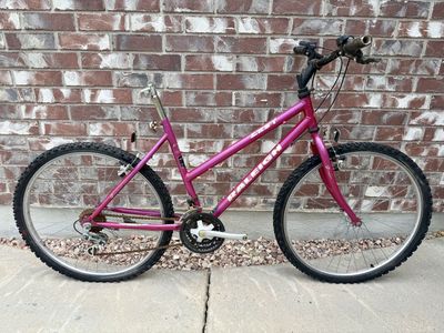 *Needs Work* Medium Women’s Raleigh Zest Bike