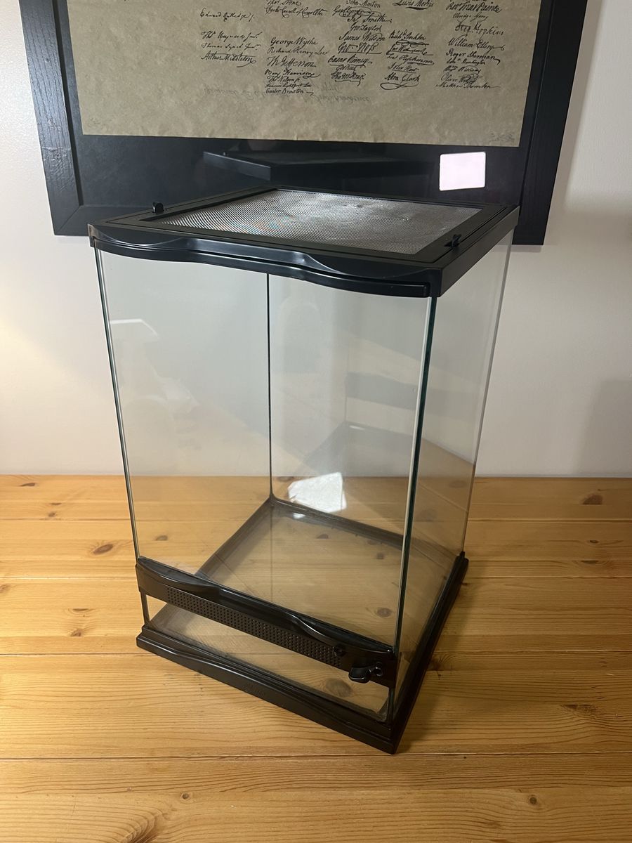 Main image 7