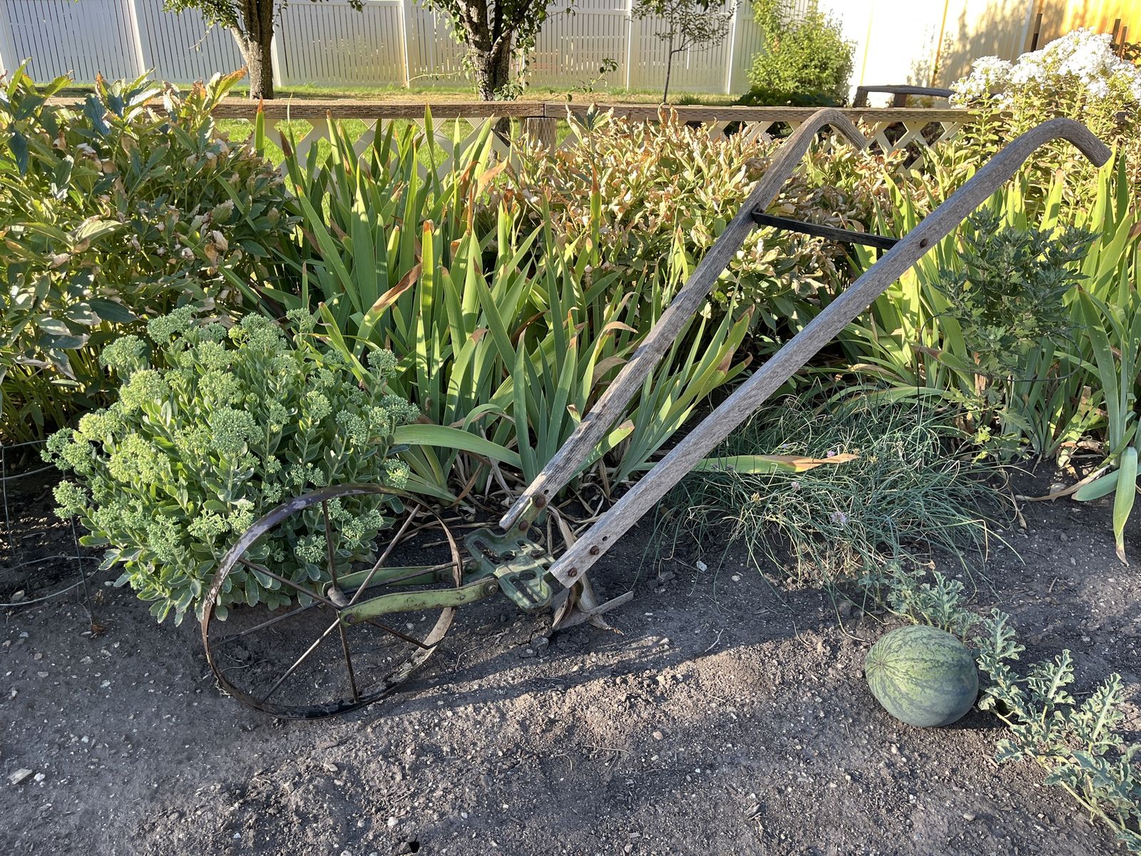 Antique Wooden Wheel Hoe with Attachments