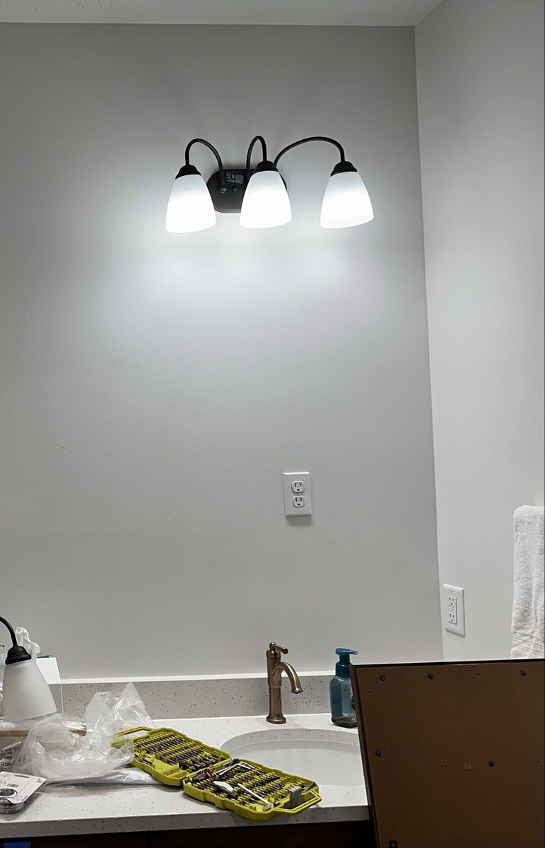 Black Vanity Light Fixture with Frosted Glass Shades (2)