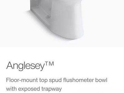Anglesey Elongated Commercial Toilet Bowl K-4352-0