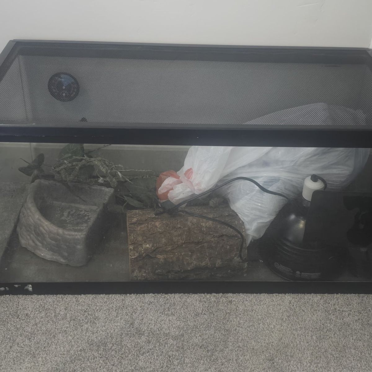 Reptile/snake enclosure