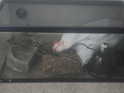 Reptile/snake enclosure