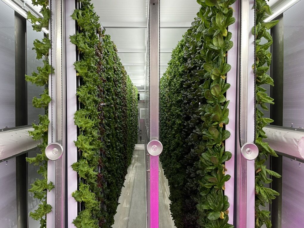 Freight Farm 2020.5 Greenery