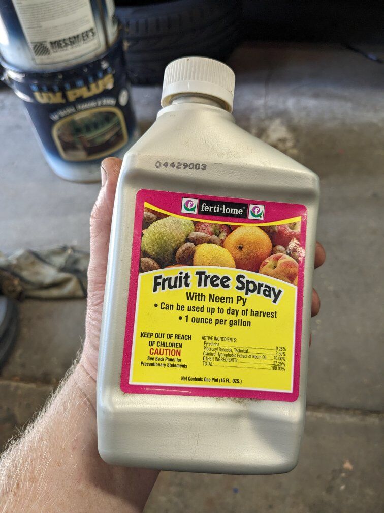 Fruit tree spray insecticide neem py 16oz