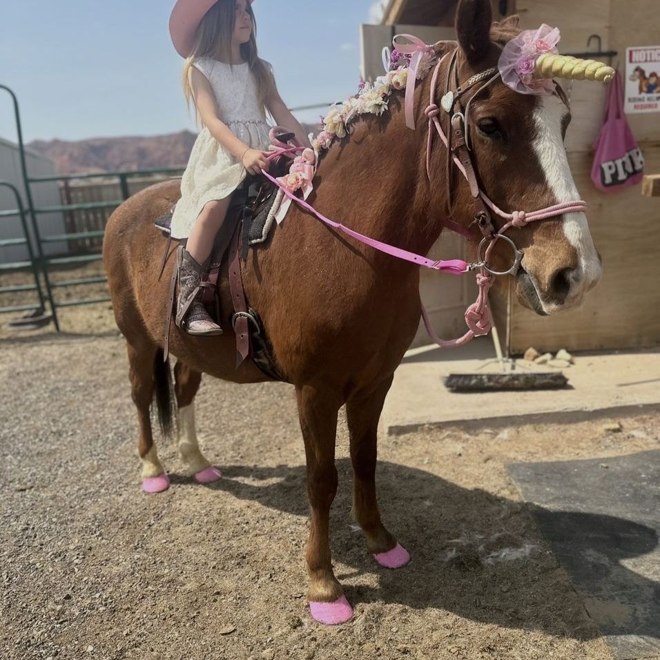 Lucky, 13.3-hand Gelding Pony - Trail Riding & Kids' Party Horse - Easy Keeper