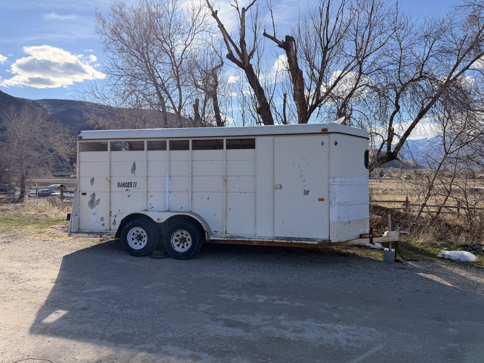 4 Horse Slant Horse Trailer