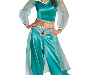 Princess Jasmine Costume - Size 2XL