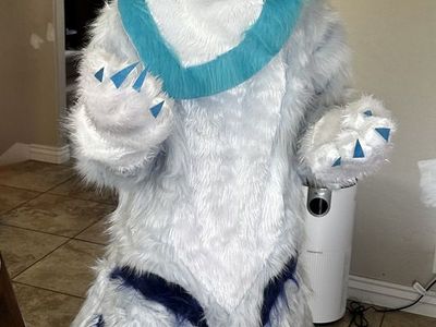 Furry Suit