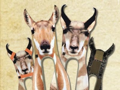 Antelope Ultimate predator decoys