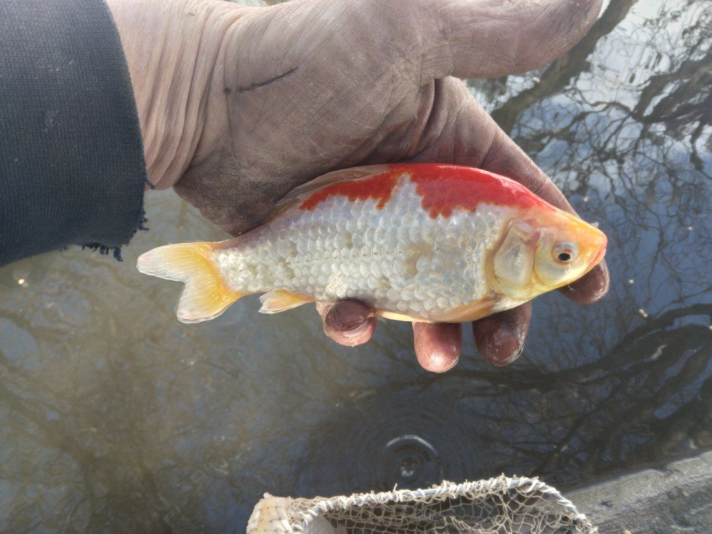 Main image 4