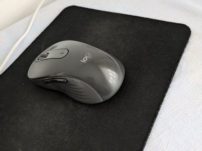 mouse