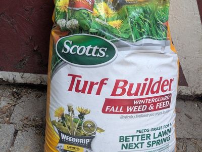 42lb Scott's turf builder lawn fertilizer fall
