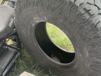 37x12.50r17 Patagonia M/T