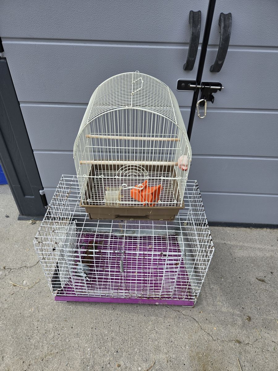 Bird cage, Small animal cage