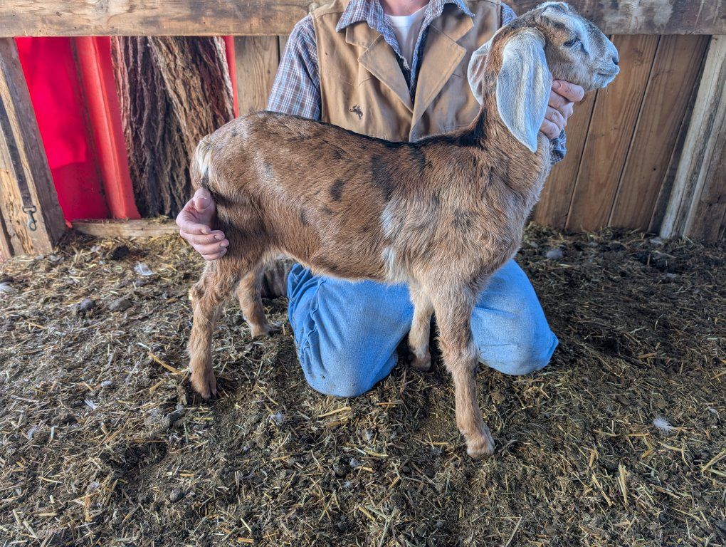 meet crater Crater of the moon
