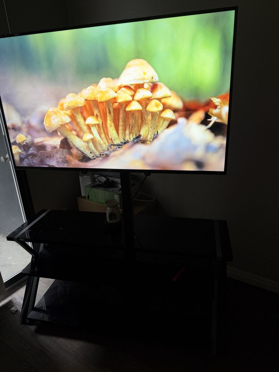 55" TV w/ Stand