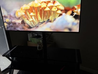 55" TV w/ Stand