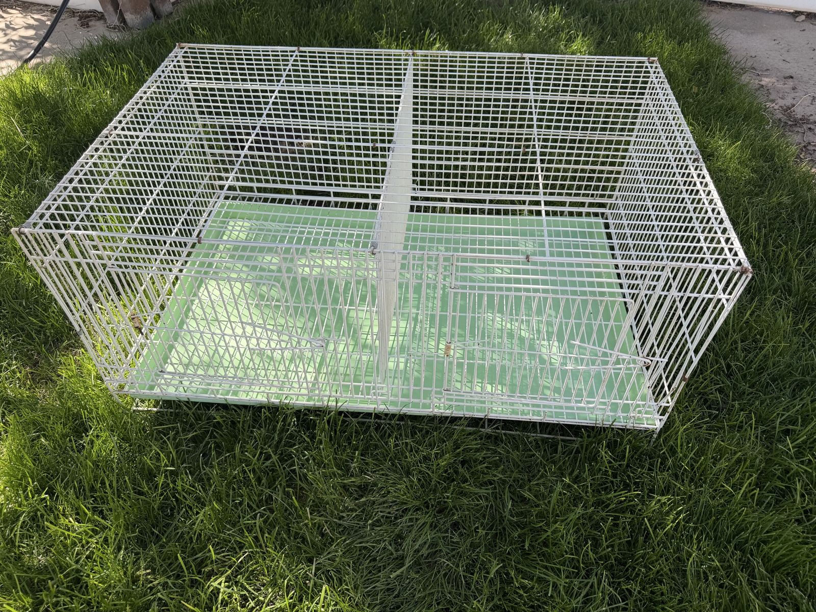 Mating Birdcage