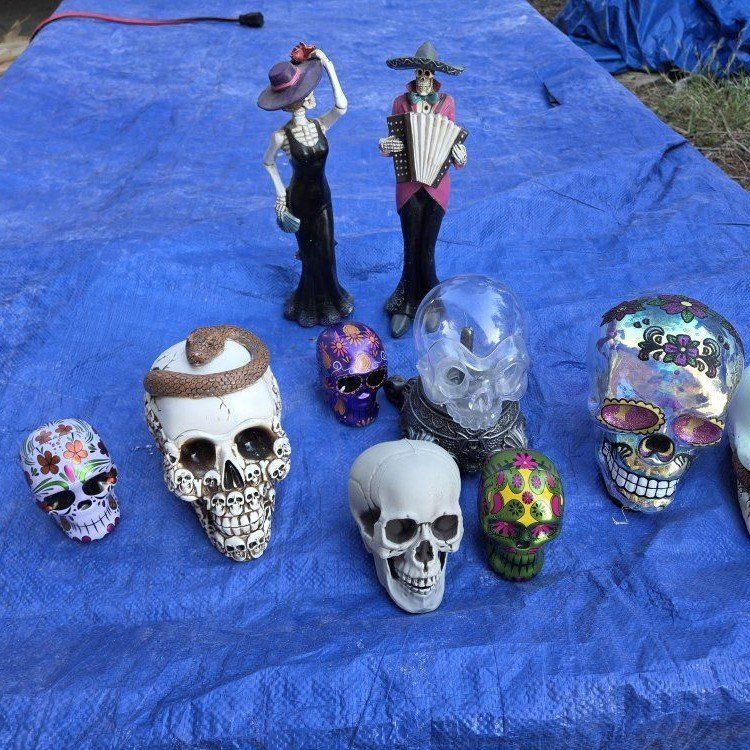 Halloween collection