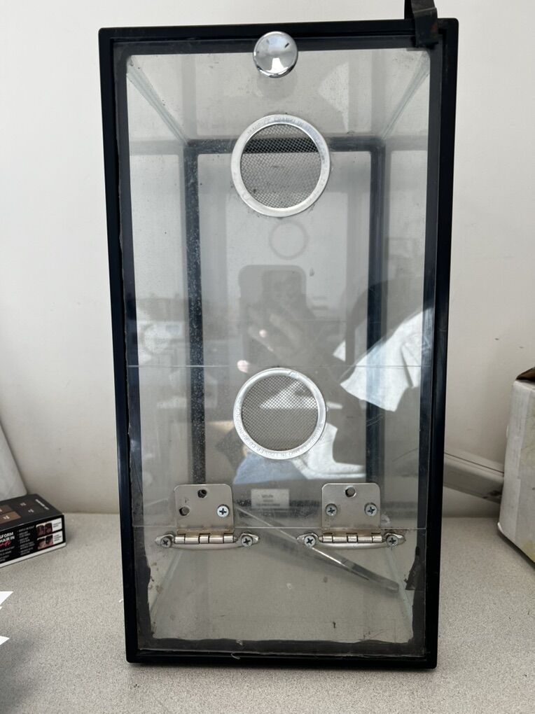 Spider or Reptile Glass Tank