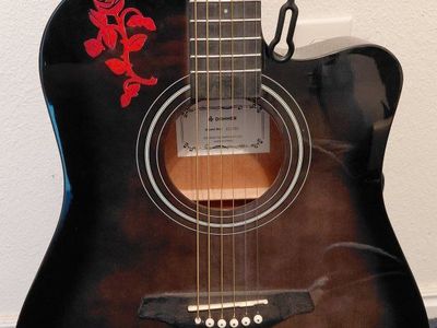 Donner acoustic guitar